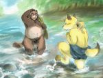  2020 akatadobuchiki anthro balls belly blush brown_body brown_fur canid canine duo flaccid fox fur genitals hi_res kemono male mammal nipples outside overweight overweight_male penis water yellow_body yellow_fur 
