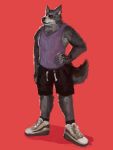  2019 3:4 anthro bottomwear canid canine canis cherry_infinite clothing fur grey_body grey_fur hi_res humanoid_hands male mammal password_(visual_novel) red_background shirt shorts simple_background solo topwear tyson_(password) video_games visual_novel wolf 