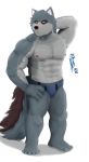  2020 anthro black_nose canid canine canis clothing fur grey_body grey_fur hi_res humanoid_hands male mammal muscular muscular_anthro muscular_male nipples password_(visual_novel) shizumei_608 simple_background solo tyson_(password) underwear video_games visual_novel white_background wolf 