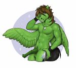  2020 anthro balls brown_hair cutie_mark digital_media_(artwork) equid equine eyebrows eyelashes f-r95 feathered_wings feathers genitals green_body green_feathers hair male mammal my_little_pony pegasus penis simple_background smile solo white_background wings 