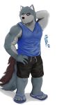 2020 anthro black_nose bottomwear canid canine canis clothing fur grey_body grey_fur hi_res humanoid_hands male mammal muscular muscular_anthro muscular_male password_(visual_novel) shirt shizumei_608 shorts simple_background solo topwear tyson_(password) video_games visual_novel white_background wolf 