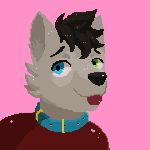  1:1 animated anthro black_hair black_nose canid canine canis collar domestic_dog glistening glistening_body hair male mammal short_playtime solo tonedoge tongue white_body 