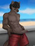  2020 abs accelo anthro black_hair black_nose day detailed_background digital_media_(artwork) genitals hair hi_res hyaenid male mammal outside penis sky solo spotted_hyena 