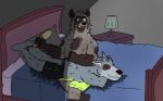  2020 anthro bed bedroom black_nose canid canine canis clothing dave_(password) duo eyes_closed fur furniture grey_body grey_fur hyaenid inside male male/male mammal password_(visual_novel) pillow shizumei_608 sitting striped_hyena tyson_(password) underwear video_games visual_novel wolf 