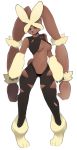  5_fingers alpha_channel anthro asukea breasts brown_body brown_fur clothing collar female fingers fur hi_res lagomorph leporid mammal mega_evolution mega_lopunny nintendo pok&eacute;mon pok&eacute;mon_(species) scut_tail solo tan_body tan_fur tearing_clothing torn_clothing under_boob video_games 