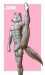  animal_genitalia animal_penis anthro balls big_balls black_nose canid canine canine_penis detached_sheath flaccid flexible fox fully_sheathed fur genitals grey_body hair hi_res male mammal muscular muscular_anthro muscular_male nipples nude one_leg_up penis pirin-apex platinum_fox raised_leg red_fox scar sheath simple_background solo splits spread_legs spreading standing vein veiny_balls vertical_splits yuri_degtyarev_(pirin-apex) 