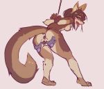  2021 anthro anus blue_eyes blush brown_body brown_fur brown_hair butt canid canine canis disembodied_hand duo female fur genitals hair hi_res jackal looking_back mammal pussy solo_focus spread_pussy spreading tongue tongue_out ultrabondagefairy wrists_tied xenon_archer 