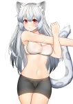  2020 absurd_res animal_humanoid blush bottomwear breasts clothing corin felid felid_humanoid female hair hi_res humanoid mammal mammal_humanoid navel open_mouth pantherine pantherine_humanoid red_eyes shorts silver_hair simple_background snow_leopard_humanoid solo white_background 
