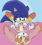  cream_the_rabbit sega sonic_team sonic_the_hedgehog tagme 