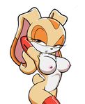  animal_ears artist_request breasts brown_eyes bunny bunny_ears cream_the_rabbit furry large_breasts naughty_face nipples pose posing sega simple_background small_nipples sonic_team sonic_the_hedgehog tail thighhighs 