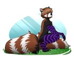  ailurid anthro arm_warmers armwear brown_hair clothing flower footwear grass hair hazelkisses legwear long_tail looking_at_viewer male mammal nature plant purple_eyes red_panda smile socks solo thigh_highs thigh_socks trau 