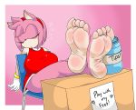  amy_rose anthro clothed clothing english_text feet female foot_fetish foot_focus hi_res simple_background sitting sleeping solo sonic_the_hedgehog_(series) text tinydevilhorns 