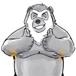  2021 anthro belly biped eyes_closed hi_res lentejota6 male mammal moobs nipples overweight overweight_anthro overweight_male simple_background solo spectacled_bear tremarctine ursid white_background 