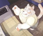  2021 anthro bottomwear canid canine canis chocobibear clothing detailed_background domestic_dog humanoid_hands inside kemono male mammal overweight overweight_anthro overweight_male shirt shorts solo topwear 