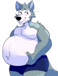  2020 anthro beastars belly big_belly blushysnoots bottomwear canid canine canis clothed clothing facial_scar fur grey_body grey_fur hand_on_stomach hi_res legoshi_(beastars) looking_away male mammal navel overweight overweight_anthro overweight_male scar shorts shy simple_background smile solo topless white_background white_body white_fur wolf 