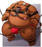  2021 absurd_res anthro balls bdsm belly bondage bound bovid bovine brown_body brown_fur bulge cattle clothing fur genitals hi_res jockstrap kemono kumajjjj leather_daddy male mammal moobs navel nipples obese obese_anthro obese_male overweight overweight_anthro overweight_male solo underwear 