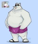  2021 anthro belly big_bulge blue_background bottomwear bulge clothed clothing eyewear flufflecraft footwear fur hi_res ice_climber male mammal navel nintendo overweight overweight_anthro overweight_male polar_bear polar_bear_(ice_climber) sandals shorts simple_background smile solo sunglasses tongue tongue_out topless topless_male ursid ursine video_games white_body white_fur 