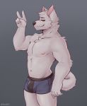  absurd_res anthro bulge canid canine canis hi_res male mammal muscular muscular_anthro muscular_male snaftfc solo thick_thighs white_body wolf 