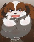  2021 anthro balls belly black_nose blush bodily_fluids brown_body brown_fur canid canine canis cum domestic_dog fur genital_fluids genitals hi_res kemono male male/male mammal moobs nipples overweight overweight_male penis sengoku_puzzle sex shimazu_yoshihisa solo_focus video_games white_body white_fur yamatoji201 