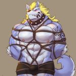  1:1 abs anthro bdsm black_clothing black_underwear blonde_hair blue_body blue_eyes blue_fur bondage bound bulge canid canine canis clenched_teeth clothing collar ear_piercing ear_ring fenrir_(housamo) fur hair hands_behind_back hi_res istani male mammal muscular muscular_anthro muscular_male nipples pecs piercing rope rope_bondage rope_harness sharp_teeth simple_background solo spiked_collar spikes tattoo teeth tokyo_afterschool_summoners underwear video_games wolf 