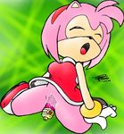  amy_rose drs sega sonic_team tagme 