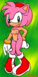  amy_rose foxczer sega sonic_team tagme 