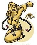  electivire nintendo pokemon tagme 