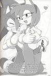  amy_rose comic furry_bomb mitsuharu_takura sega sonic_team sonic_the_hedgehog 