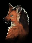  2021 anthro black_background brown_eyes canid canine ear_piercing ear_ring fur hi_res light looking_at_viewer male mammal mane maned_wolf marcello_(sepulte) neck_tuft orange_body orange_fur piercing portrait sepulte signature simple_background smile solo teeth tuft 