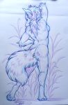  2021 anthro breasts canid canine canis eyebrows eyelashes female fur hair hi_res kashmere mammal nude smile solo traditional_media_(artwork) wolf 