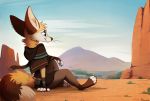  anthro blue_eyes canid canine day detailed_background female fennec fox hi_res mammal outside sepiapaws sky smile solo 