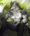  2021 abs anthro black_nose bottomwear canid canine canis chest_tuft clothing detailed_background digital_media_(artwork) fur grung hi_res male mammal muscular muscular_anthro muscular_male nipples pecs scar solo tuft were werecanid werecanine werewolf 