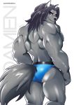  absurd_res akai.kaze anthro big_muscles black_nose blue_clothing blue_underwear brown_eyes butt canid canine canis clothing damien_hayabusa fur grey_body grey_fur hair hi_res long_hair male mammal mature_male muscular muscular_anthro muscular_male nipples rear_view signature smile solo text thick_thighs underwear wolf 