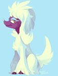  black_eyes blue_background closed_mouth commentary dog english_commentary full_body furfrou furfrou_(normal) gen_6_pokemon highres musicalcombusken no_humans pokemon signature simple_background sitting smile 