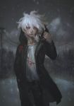  1boy absurdres akiko_141 bangs black_jacket black_pants coat collarbone cowboy_shot danganronpa_(series) danganronpa_2:_goodbye_despair grey_eyes hair_between_eyes hand_in_pocket hand_up highres hood hood_down hoodie jacket komaeda_nagito long_sleeves looking_at_viewer male_focus messy_hair mountain night open_clothes open_coat outdoors pants power_lines print_shirt shirt smile snow snowing solo utility_pole white_hair white_shirt 