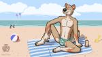  16:9 2019 4_fingers absurd_res anthro arm_on_leg arm_support ball barefoot beach beach_ball beach_blanket bent_legs biped black_claws black_nose blue_eyes bulge canid canine canis cel_shading claws clothed clothing cloud coyote day detailed_background digital_media_(artwork) eyebrows fancy_foxx_(artist) fingerless_(marking) fingers floral_print front_view fur gloves_(marking) grin group hi_res knee_pulled_up leg_markings male mammal markings multicolored_body multicolored_clothing multicolored_fur multicolored_tail outside plantigrade raised_eyebrows sand sea seaside shaded shoreline sitting skimpy smile socks_(marking) solo_focus speedo sunscreen swimwear teeth teeth_showing toe_claws toeless_(marking) topless wallpaper water watermark widescreen 