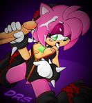  amy_rose drs sega sonic_team tagme 