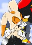  cream_the_rabbit sega shadow_the_hedgehog sonic_team tagme 