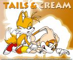  bbmbbf cream_the_rabbit sega sonic_team tails 