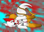  nintendo pokemon raichu tagme zangoose 