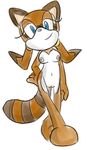  anthro breasts female fiz fiztheancient looking_at_viewer mammal marine_the_raccoon nipples plain_background pussy raccoon sega solo sonic_(series) sonic_team white_background 