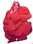  2021 3:4 anthro belly daich fur hi_res kemono male mammal moobs overweight overweight_anthro overweight_male red_body red_fur simple_background solo ursid white_background 