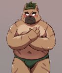  2021 anthro belly blush brown_body brown_fur canid canine canis clothing cute_fangs domestic_dog fur hi_res kemono male mammal moobs nipples overweight overweight_anthro overweight_male re_jin37 scar solo tokyo_afterschool_summoners underwear video_games yasuyori 