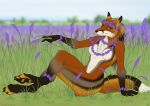  2019 anthro breasts canid canine claws digitigrade dipstick_tail featureless_breasts female fox lavender_(flower) looking_at_viewer mammal multicolored_tail nude pawpads reyna sitting smile solo ultraviolet 