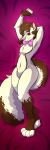  absurd_res anthro dakimakura_design girly hi_res male mammal mephitid skunk solo tiramis&uacute; unknown_artist 