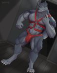  2021 4_fingers 4_toes abs anthro barazoku beckoning body_hair bulge canid canine canis claws clothing digitigrade dutch_angle enigma_(daltenigma) fingers fur gesture grey_body grey_fur happy_trail harness hi_res inner_ear_fluff inside looking_at_viewer male mammal mr._frenzy multicolored_body multicolored_fur muscular muscular_anthro muscular_male navel neck_tuft nipples pecs quads smile smirk solo standing thong toe_claws toes tuft two_tone_body two_tone_fur underwear wolf 