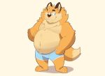  2021 absurd_res anthro belly blue_eyes brown_body brown_fur canid canine clothing fox fur haroldsitofox hi_res male mammal navel overweight overweight_anthro overweight_male simple_background solo underwear 