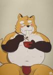 2021 anthro belly blush brown_body brown_fur canid canine clothing eating food fox fur hi_res kemono male mammal navel overweight overweight_anthro overweight_male pol6473 sitting solo underwear white_body white_fur 