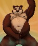  2021 after_masturbation anthro balls belly black_body black_fur bodily_fluids erection fur genital_fluids genitals hi_res male mammal masturbation moobs navel nipples overweight overweight_male penis precum solo spectacled_bear themorghull tremarctine ursid white_body white_fur 