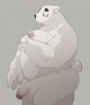  2021 anthro balls blush butt dumdum eyewear flaccid fur genitals glasses hi_res kemono male mammal moobs nipples overweight overweight_anthro overweight_male penis polar_bear solo ursid ursine white_body white_fur 